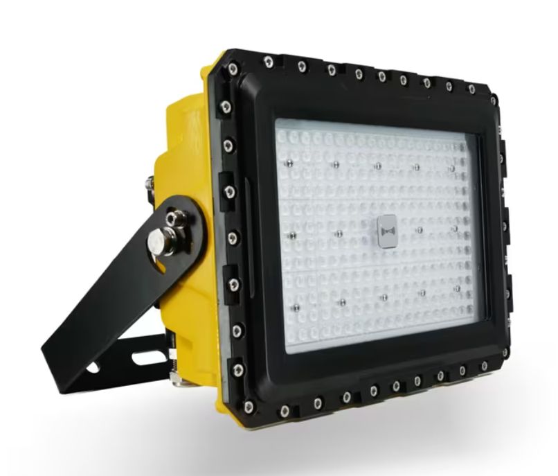 EX Floodlight RFID
